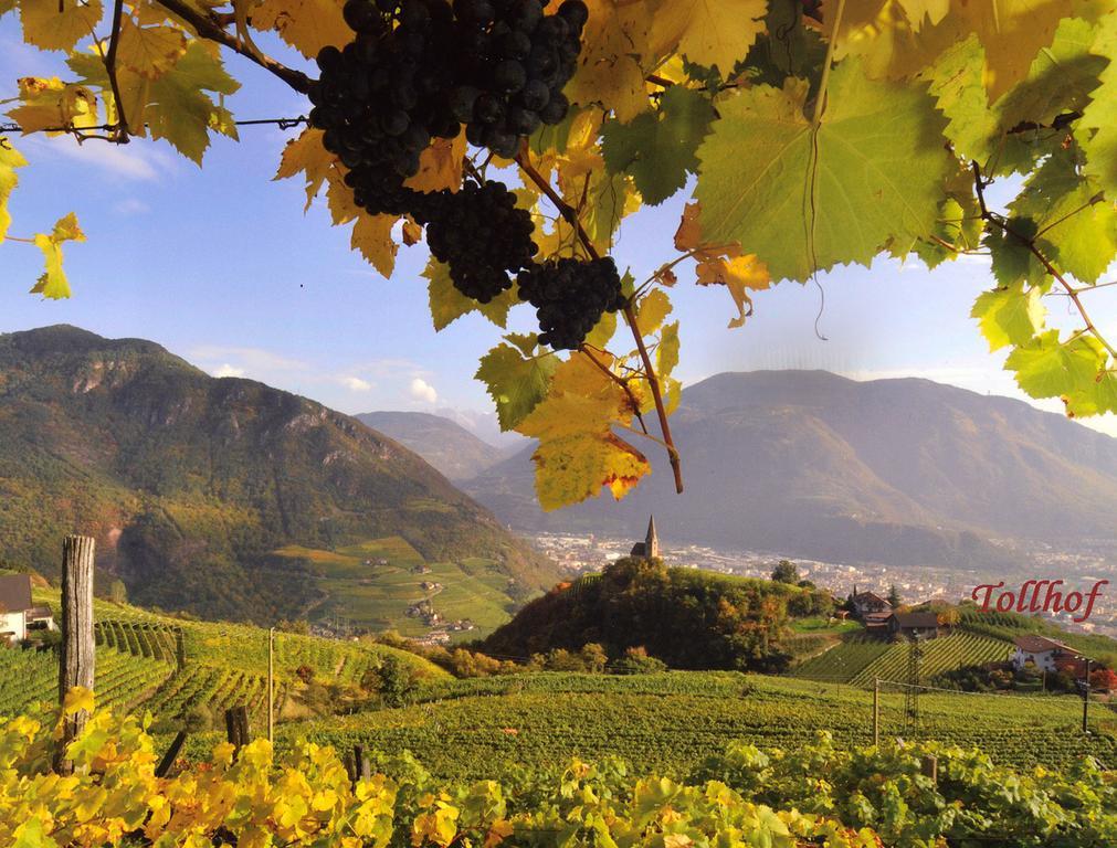 Villa Tollhof Bolzano Esterno foto